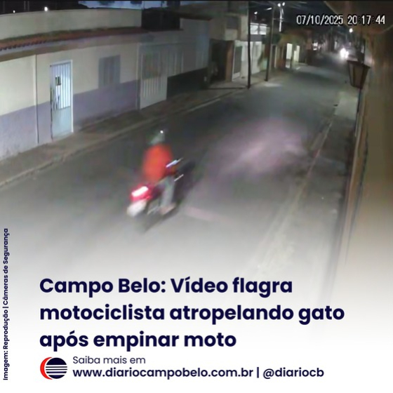 foto Not&iacute;cia Campo Belo