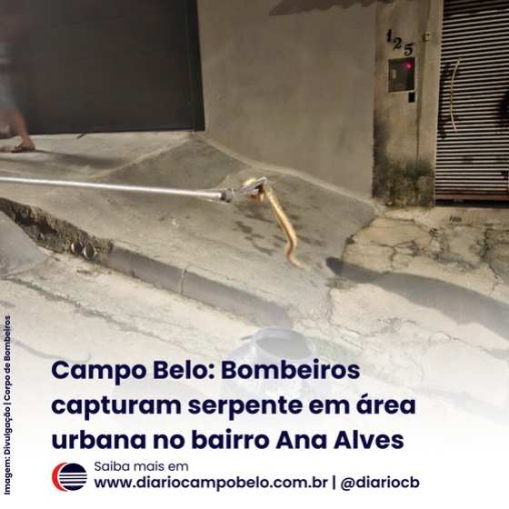 foto Not&iacute;cia Campo Belo