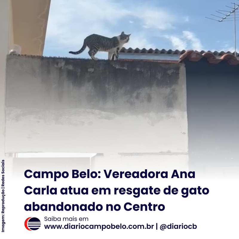 foto Notícia Campo Belo